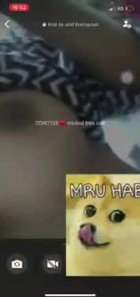 Premium Scene #567